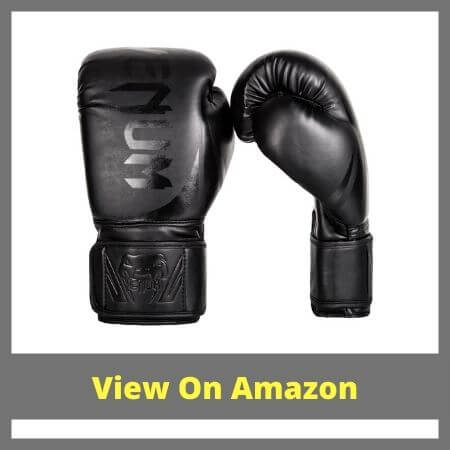 Best Boxing Gloves Under 100 Dollars 