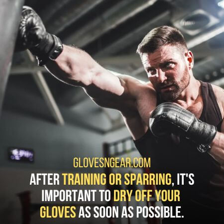 How To Prevent Boxing Gloves From Cracking - training