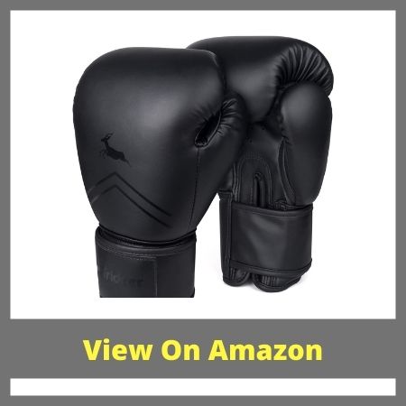 Best Boxing Gloves Under 200$