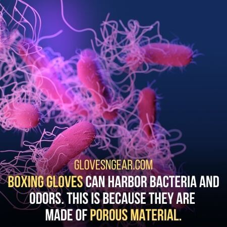 porous material - bacteria