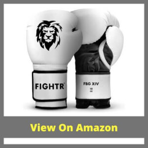 FIGHTR® Boxing Glov