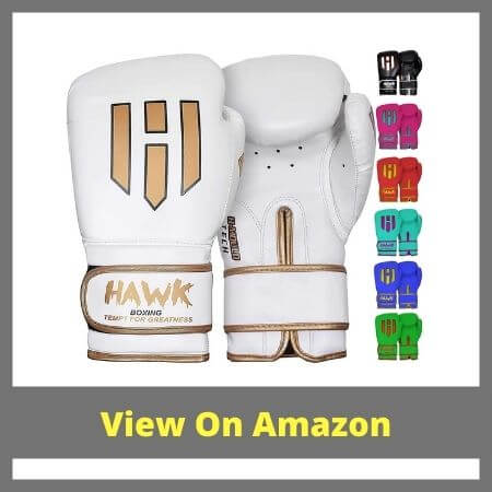 Hawk Boxing Gloves 