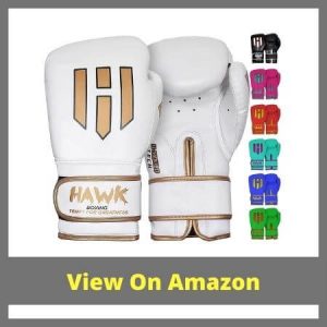 Hawk Boxing Gloves: