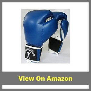 PS-2- Kids Boxing Gloves: Boxing Gloves For 9 Year Old