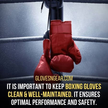 Boxing gloves clean & well-maintained - How To Clean MMA Gloves
