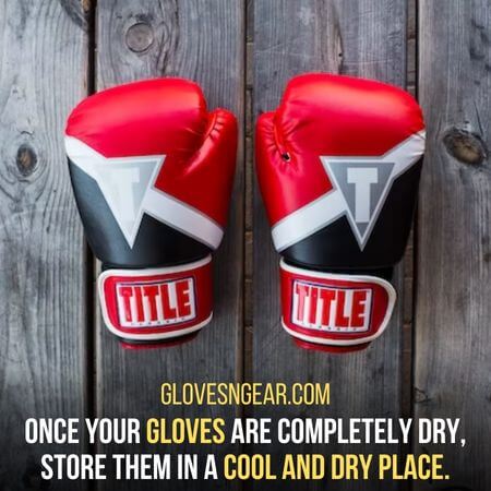 Cool and dry place - How To Clean Muay Thai Gloves